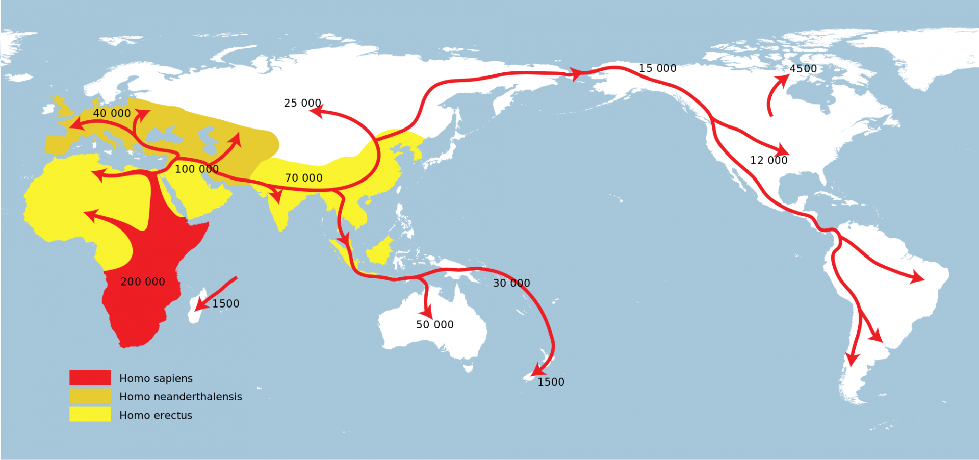 Migrations homo sapiens